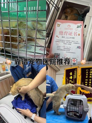 靠谱宠物医院推荐