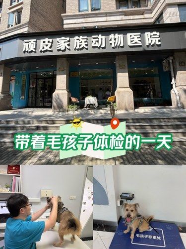 小狗用行动告诉我[种草]超爱这儿嘞！