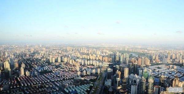 唐山鸟市在啥地方,宠物市场上海长宁 - 爱宠物