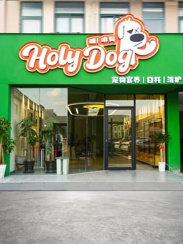 铲屎官无忧出行，Holy Dog用心守护[礼花]