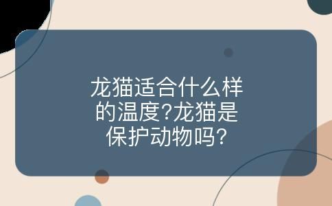 龙猫适合什么样的温度?龙猫是保护动物吗?