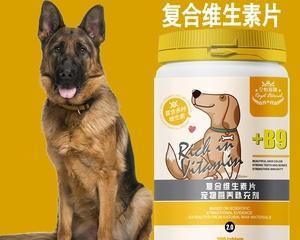 小狗掉毛处理大全（宠物毛发处理技巧及常见问题解答）