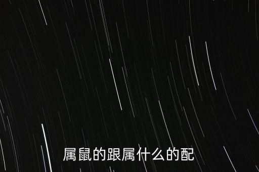 属鼠的跟属什么的配