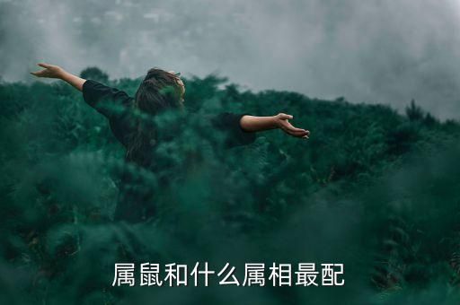 属鼠和什么属相最配