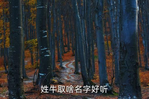 属牛的人叫什么名字好听,属牛的孩子起什么名字好