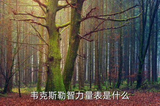 韦克斯勒智力量表,对韦氏智力量表的评价