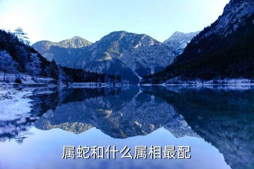 属蛇婚配什么好,十二生肖里面蛇和什么最相配