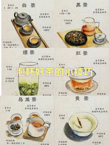 泡杯好茶的小技巧