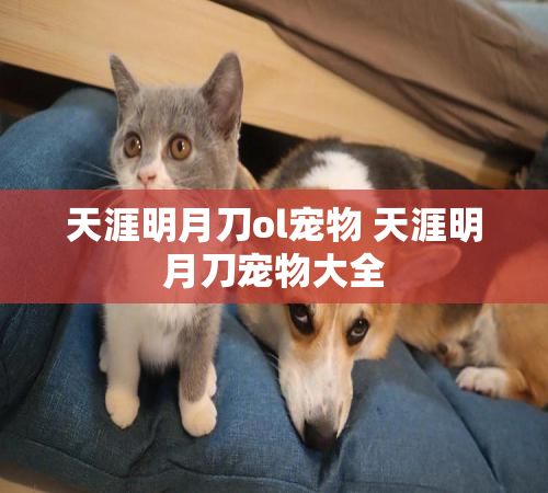 天涯明月刀ol宠物 天涯明月刀宠物大全