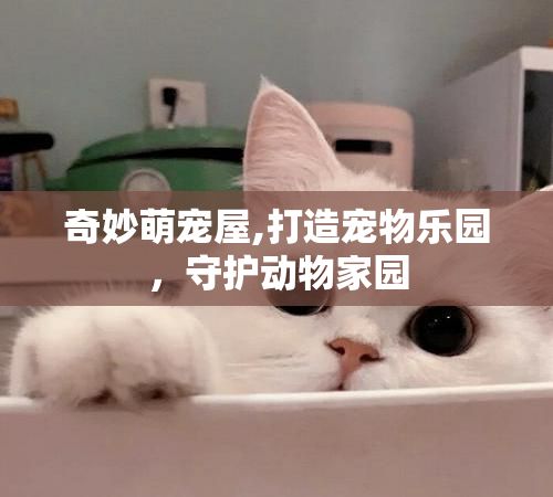 奇妙萌宠屋,打造宠物乐园,守护动物家园
