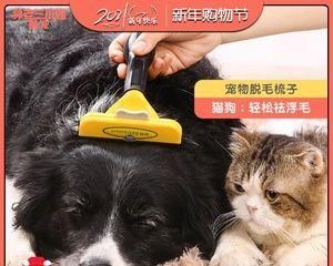 如何清理狗狗梳子，保持宠物毛发的健康（用狗狗梳子是必不可少的）