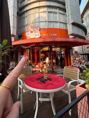 东莞春节一定要来一次！可爱小好治愈