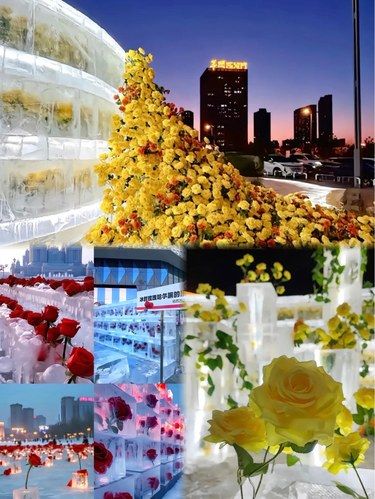 刘亦菲都说想去的地方，咱也得跟上步伐呀[色]