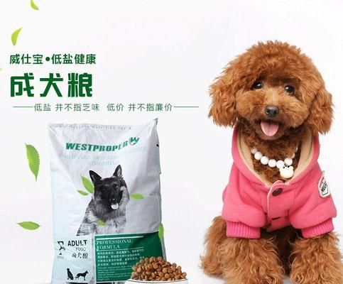 金毛宠物狗的饮食习惯（如何合理计算金毛三个月的狗粮量）