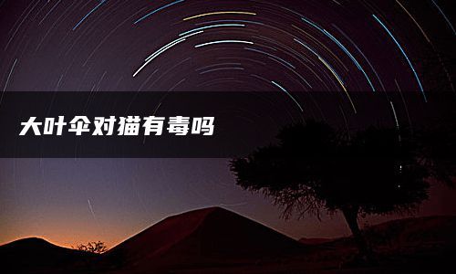 大叶伞对猫有毒吗