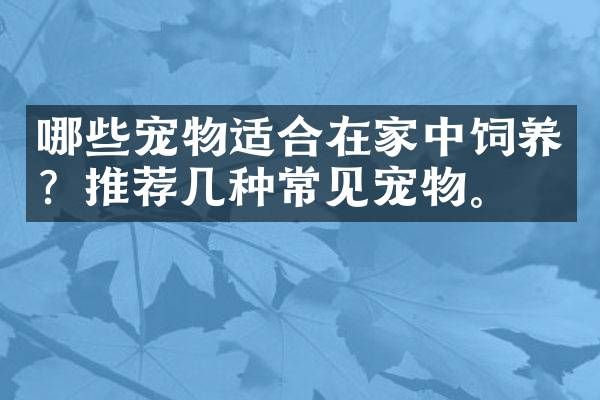 哪些宠物适合在家中饲养？推荐几种常见宠物。