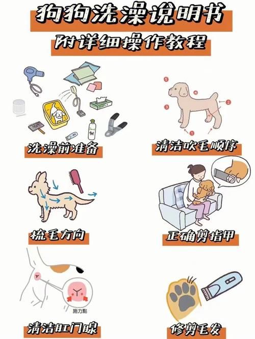 狗狗遛弯后如何做好清洁