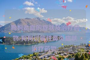 狗狗贫血的症状及治疗药物(狗狗过敏性鼻炎症状治疗药物)
