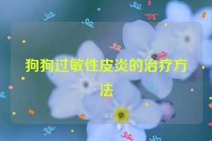 狗狗过敏性皮炎的治疗方法