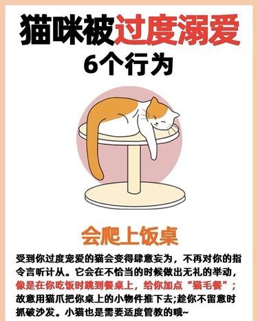 你有过度宠溺猫咪吗