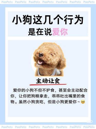 你的宠物爱你吗