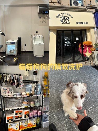 要给毛孩子洗澡做造型的可以看过来啦，很贴心～