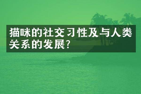 猫咪的社交习性及与人类关系的发展？