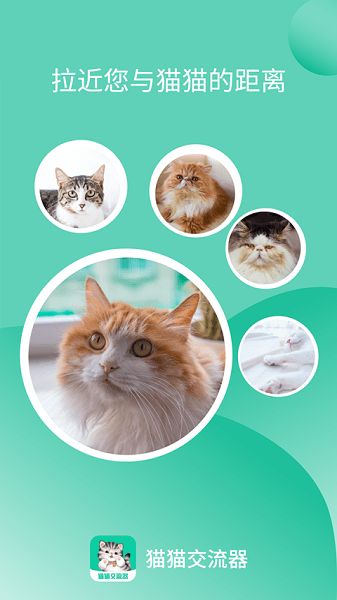 猫猫交流器appv3.3.5 安卓版 1