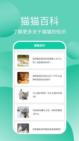 猫猫交流器软件 v3.3.4 安卓版 3