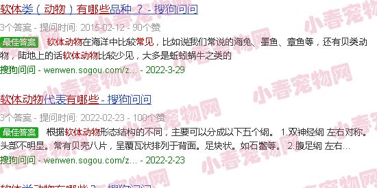 常见软体动物有哪些