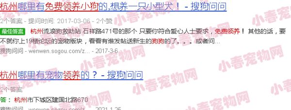 杭州免费领养狗狗
