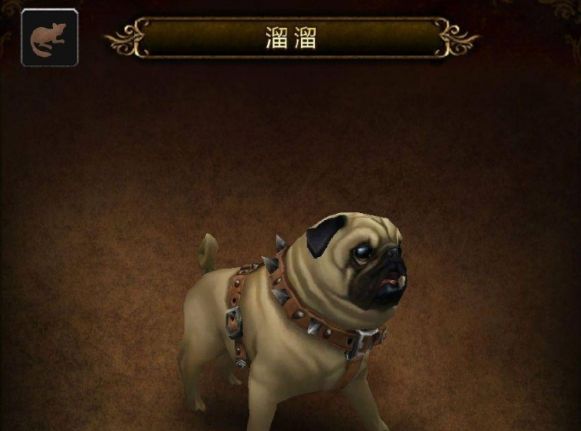 魔兽世界宠物溜溜怎么获得 宠物溜溜获取攻略