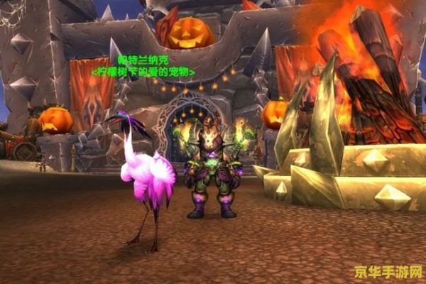 魔兽世界猎人稀有宠物 魔兽世界：猎人稀有宠物大揭秘