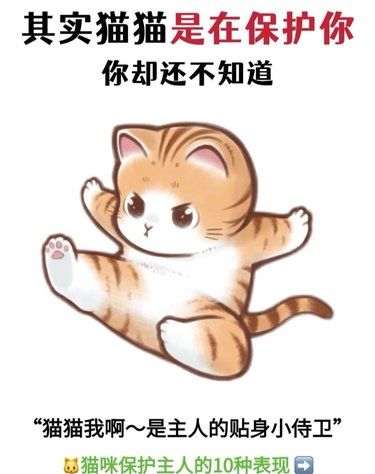 猫咪保护你的10种表现！最后一条泪奔