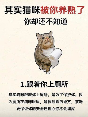 养猫人士看过来，你家喵主子跟你“熟”吗❓