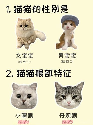 揭露真实性格，快来测测自家主子[狗头][狗头]