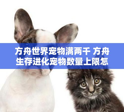 方舟世界宠物满两千 方舟生存进化宠物数量上限怎么办