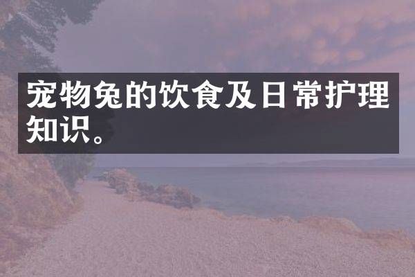 宠物兔的饮食及日常护理知识。