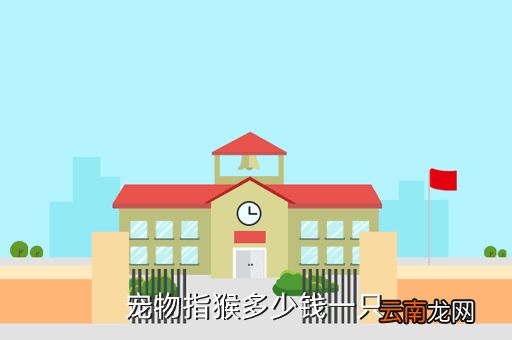 养猴子当宠物要多少钱,宠物指猴多少钱一只
