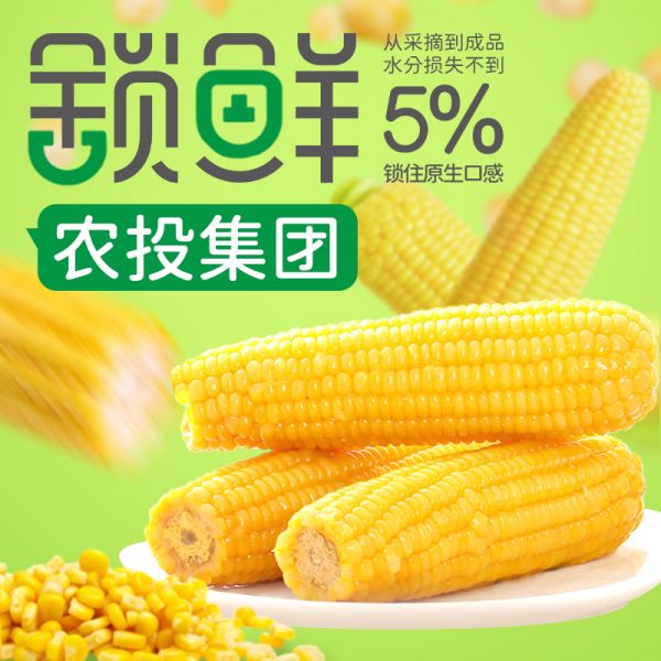 【农投集团】东北黄糯玉米240g-280g*8根