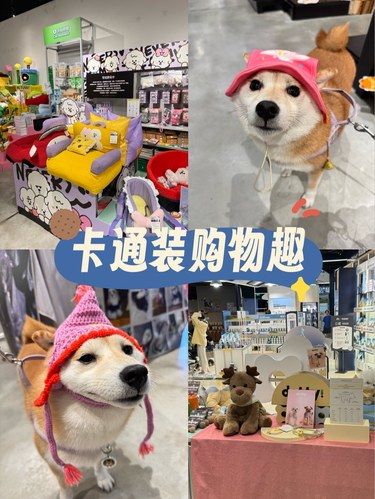 毛孩子也要买买买！