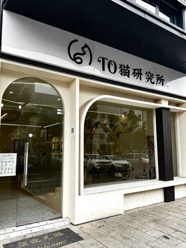 义乌也有啦！有猫咪的看过来！！！