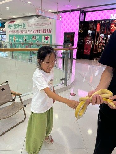 去摸动物