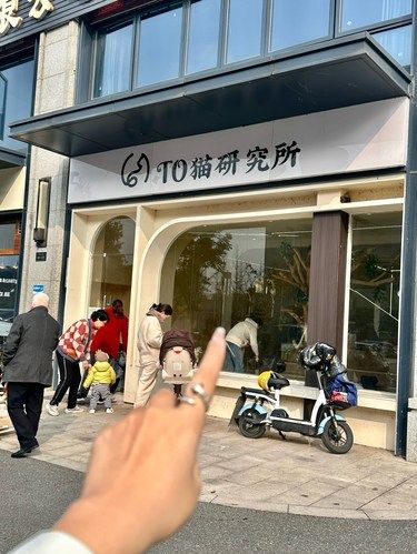 义乌ju温馨的猫咪寄养酒店 to猫研究所