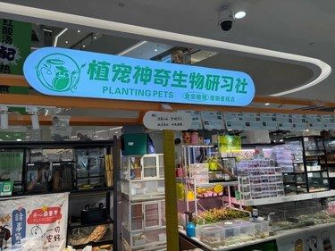 快乐宠物家