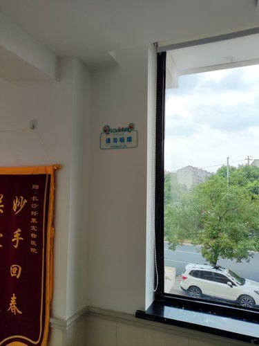不愧是宠物医院的天花板