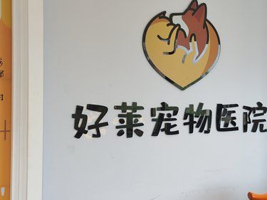 毛毛眼睛出状况，还好有这家医院！