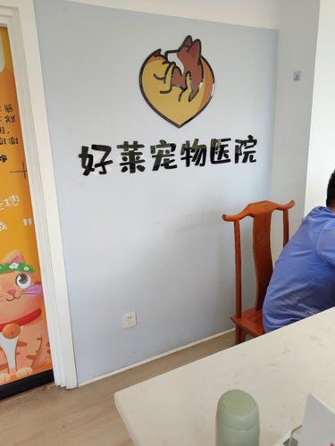安利一家服务nice的宠物医院好莱宠物医院 