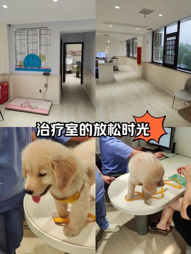 哈哈恢复单身了