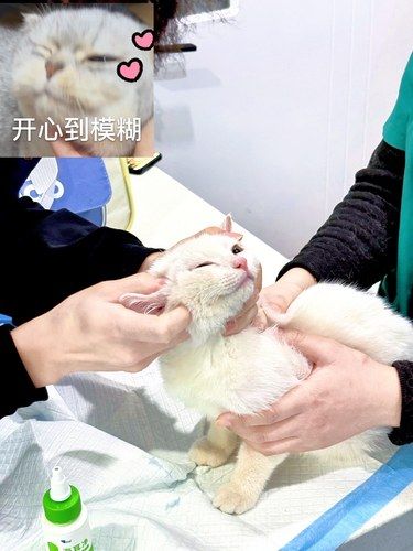 这家可千万别倒闭，不然……